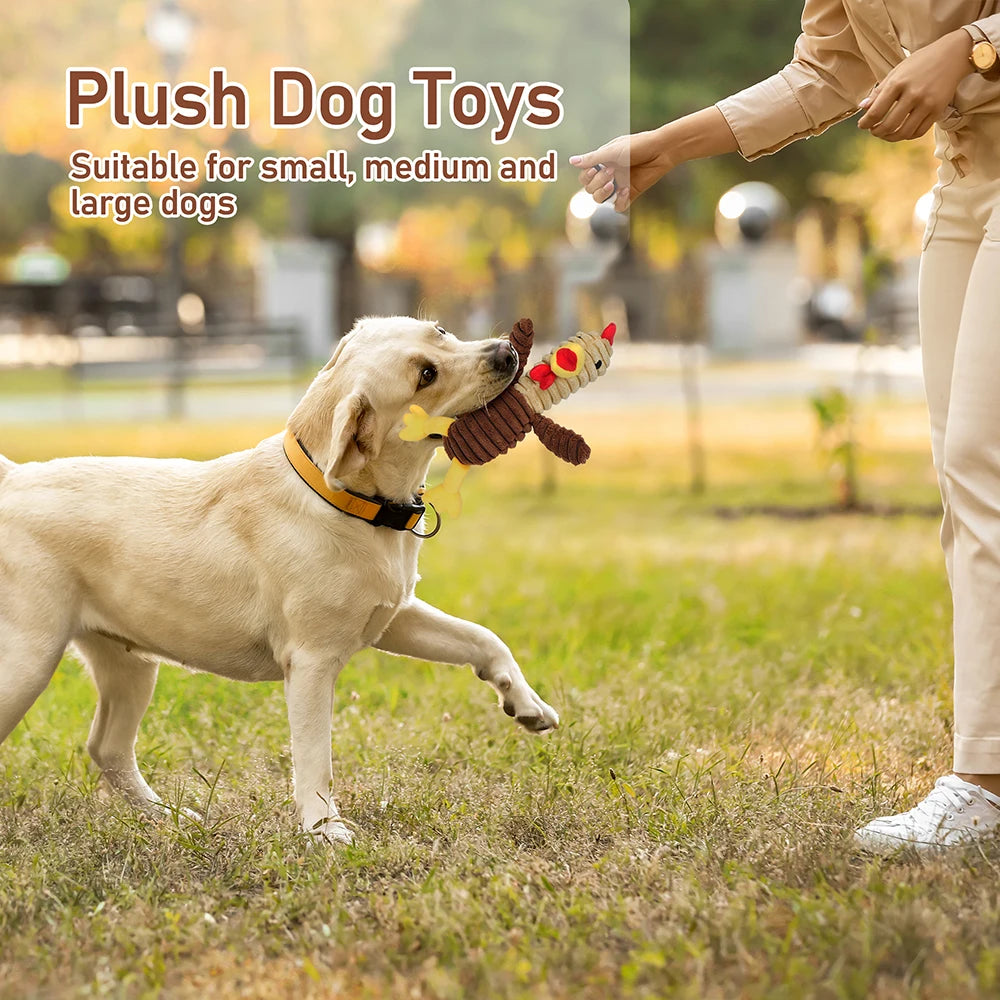 Plush Squeaky Dog Toys Assortment Bundle for Playful Pets