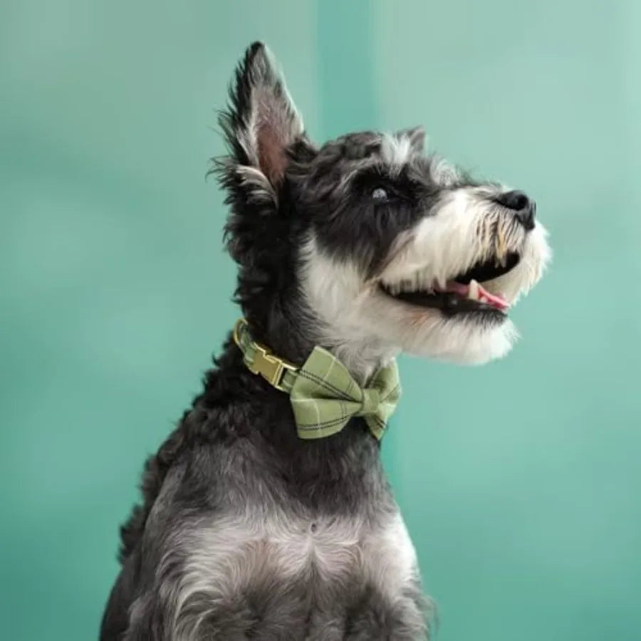 Premium Soft Small Dog Harness Set With Bowtie For Puppies