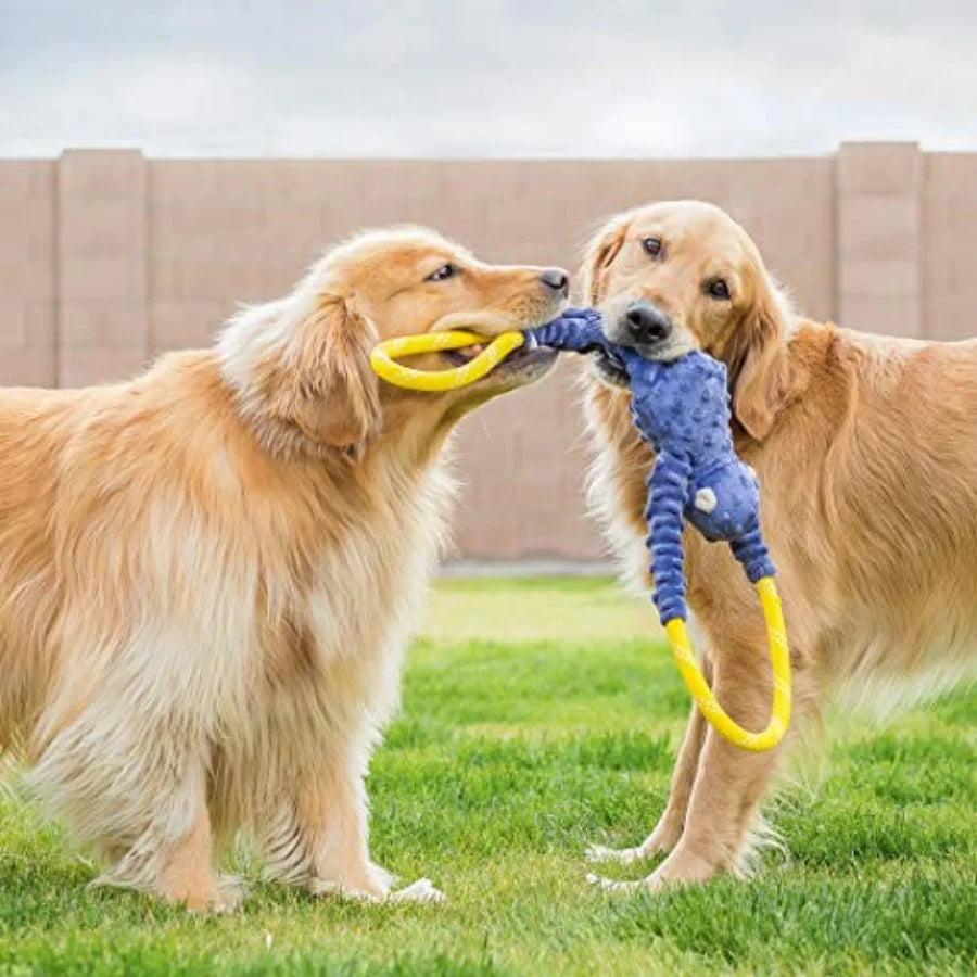 RopeTugz Squeaky Dog Tug Rope Toy for Interactive Play