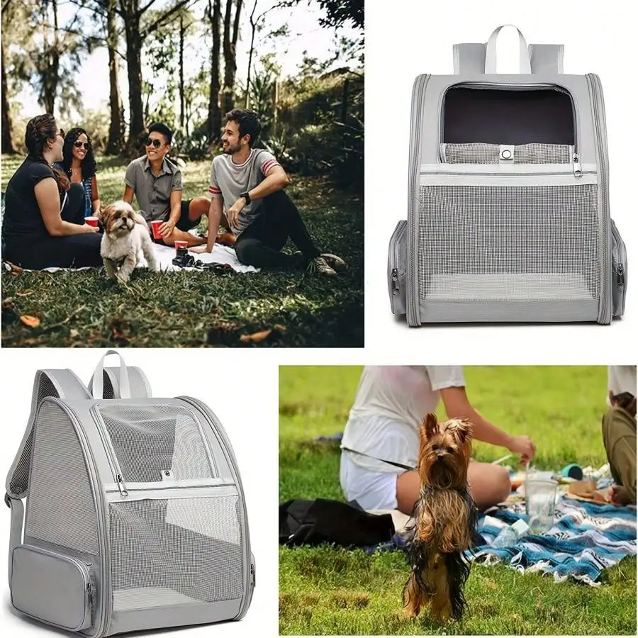 Secure Airline Approved Pet Backpack Carrier For Small Pets