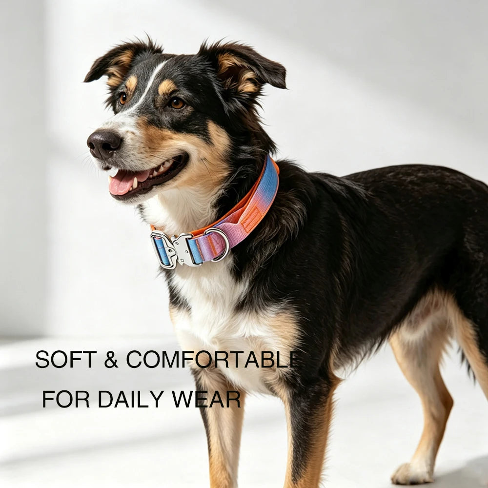 Tactical Dog Collar with Handle, Heavy‑Duty Nylon Adjustable Training Collar with Metal D‑Ring, Gradient Color for Medium to Large Dogs Outdoor Walking Hiking
