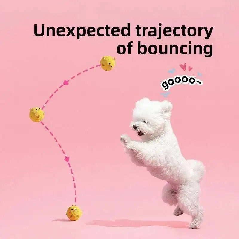 Squeaky Plush Dog Ball Toy for Chewing and Teeth Cleaning