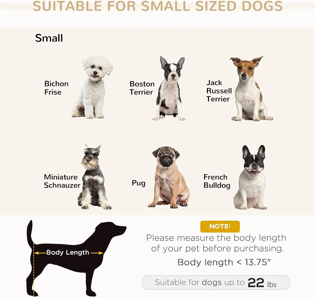 Stylish Pet Couch Featuring Integrated Storage And Soft Foam