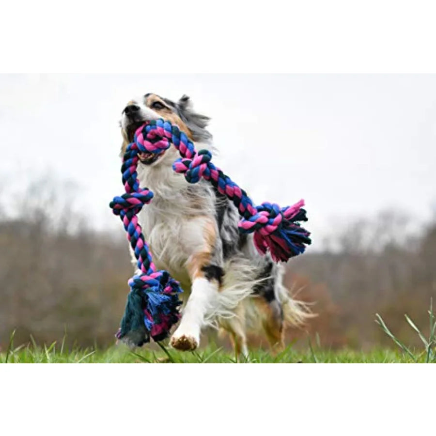 Mammoth Interactive Rope Tug Toy for Dogs Chewing and Play