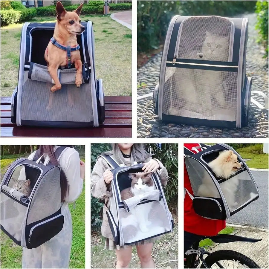 Secure Airline Approved Pet Backpack Carrier For Small Pets