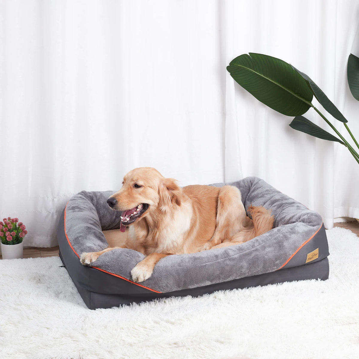 Bingopaw Large Dog Bed Ultra Soft Fleece Removable Washable Cover