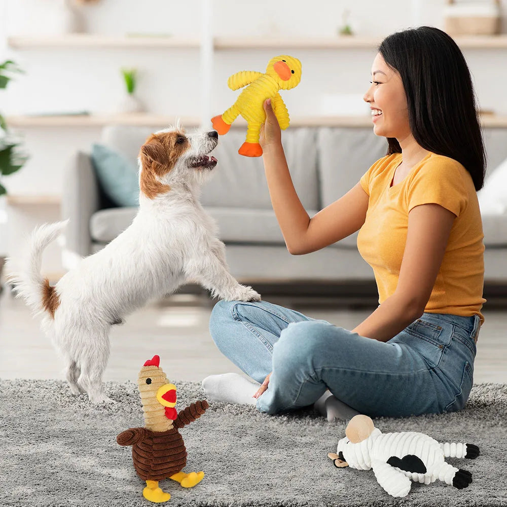 Plush Squeaky Dog Toys Assortment Bundle for Playful Pets