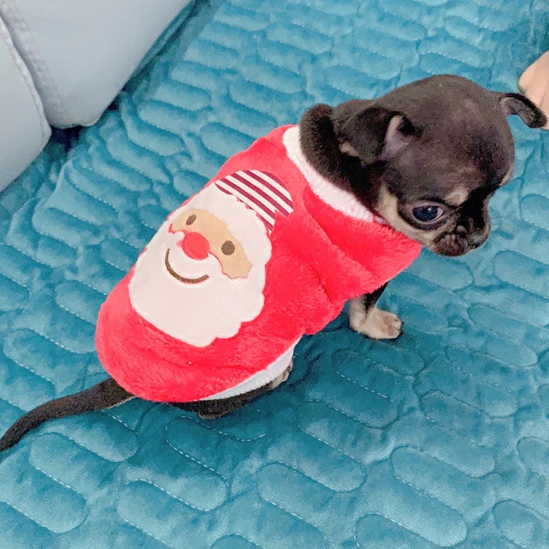 Snug Fleece Dog Sweater With Cheerful Tea Print For Pups