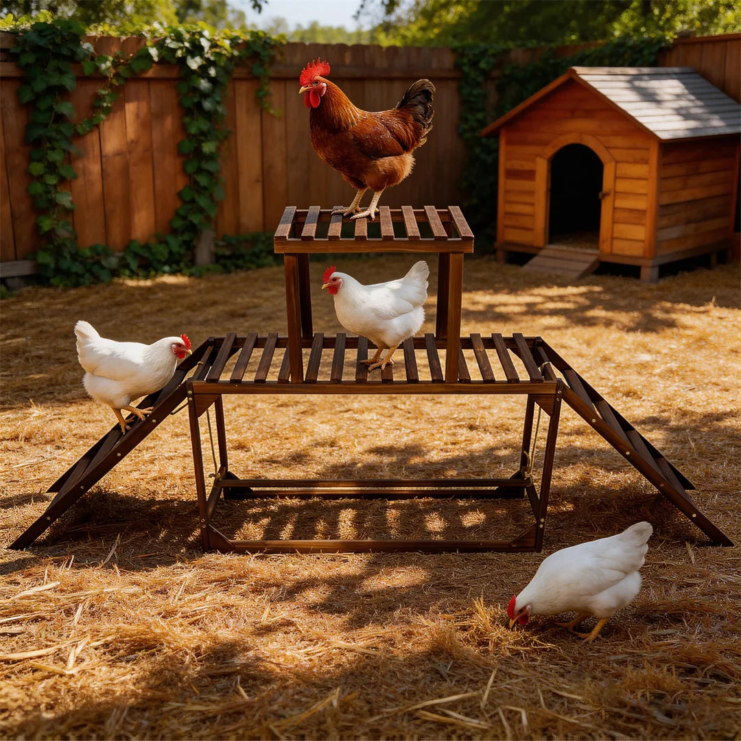 Wooden Chicken Perch Swing With Roosting Bars And Climbing Ladder