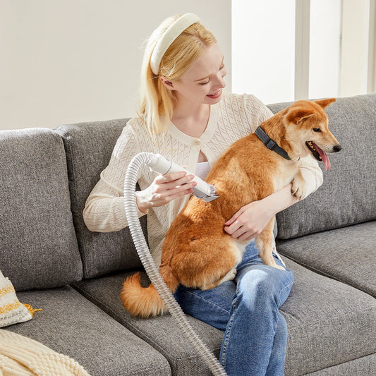 Sweetcrispy Quiet Cordless Pet Clippers For Dogs And Cats