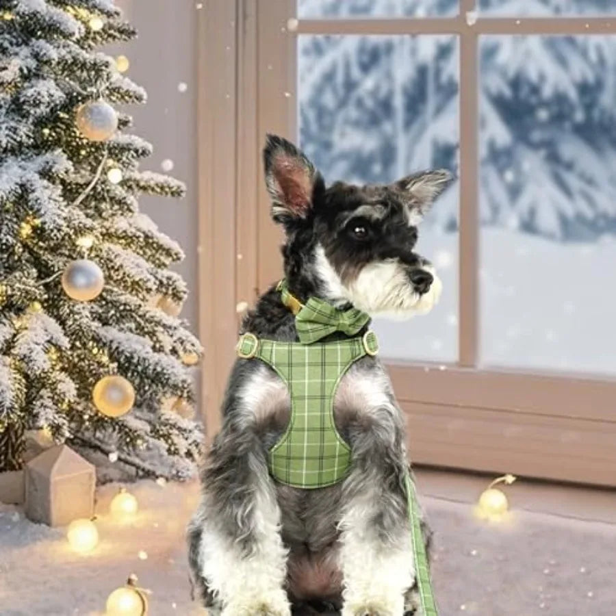 Premium Soft Small Dog Harness Set With Bowtie For Puppies