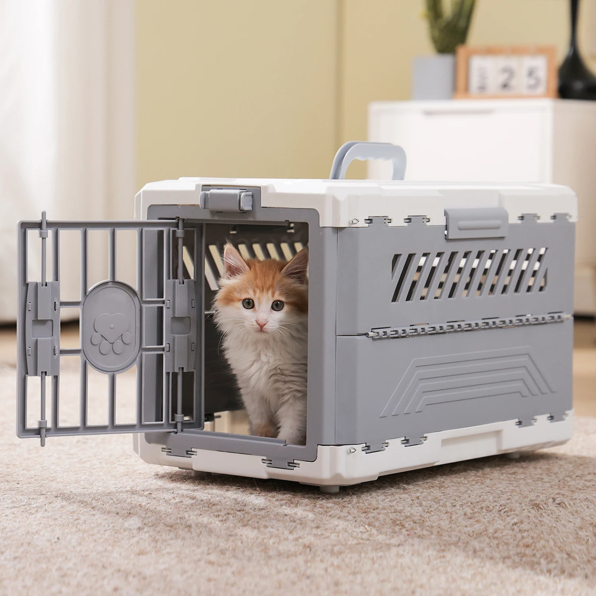 PAWZ Road Secure Foldable Pet Carrier For Small Cats And Dogs
