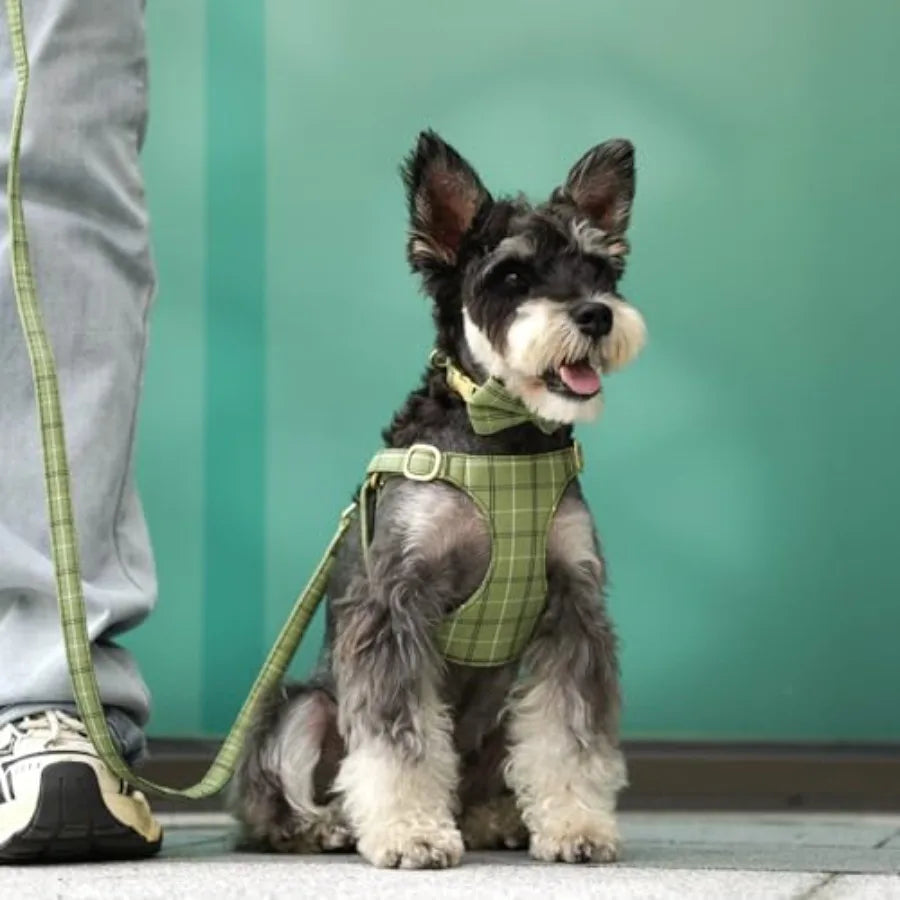 Premium Soft Small Dog Harness Set With Bowtie For Puppies