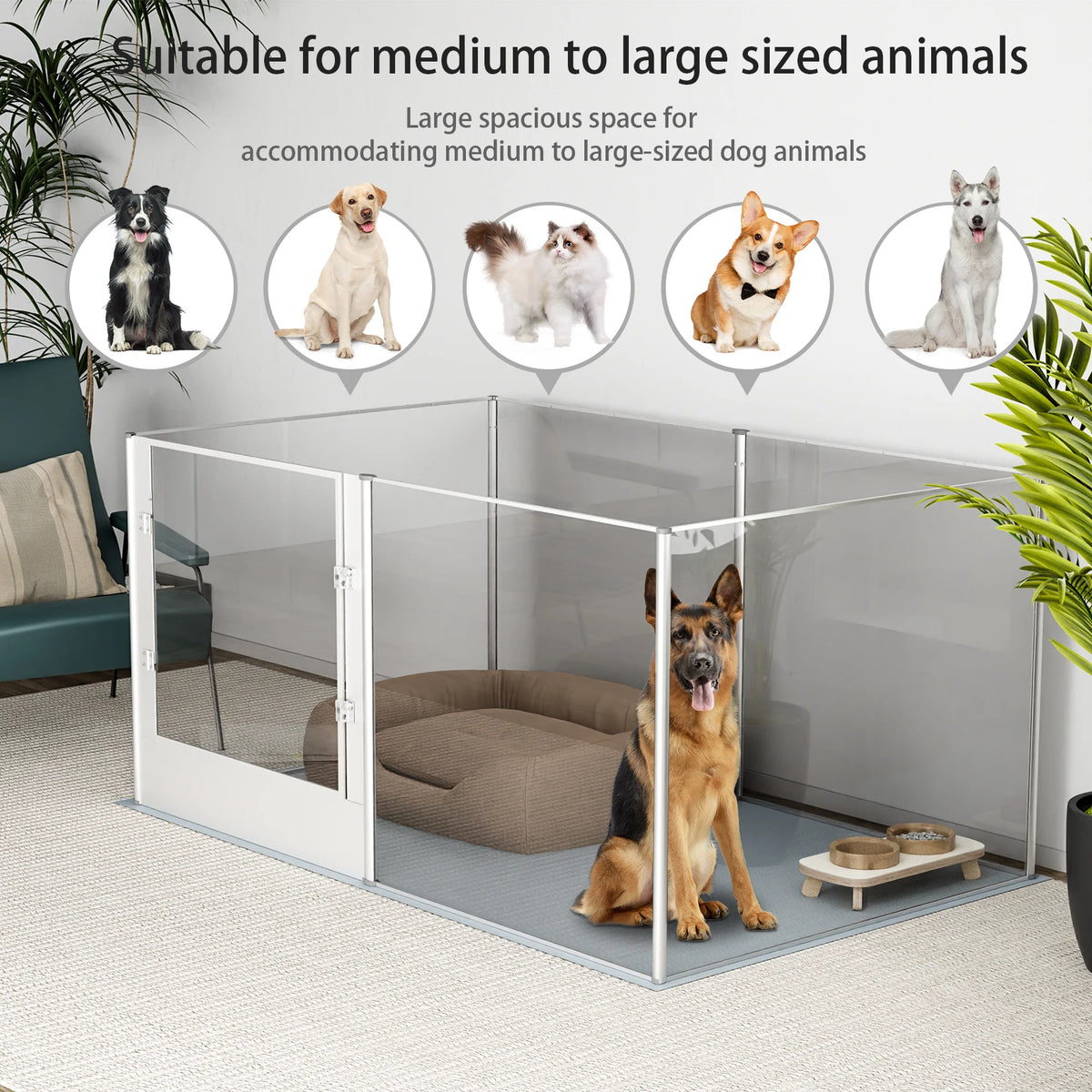 Bingopaw Acrylic Dog Playpen 6 Panel Exercise Pen With Mat