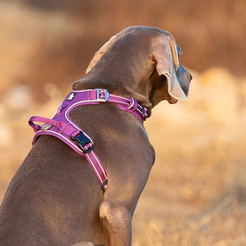 Winhyepet Reflective Padded Dog Training Vest Harness For Dogs