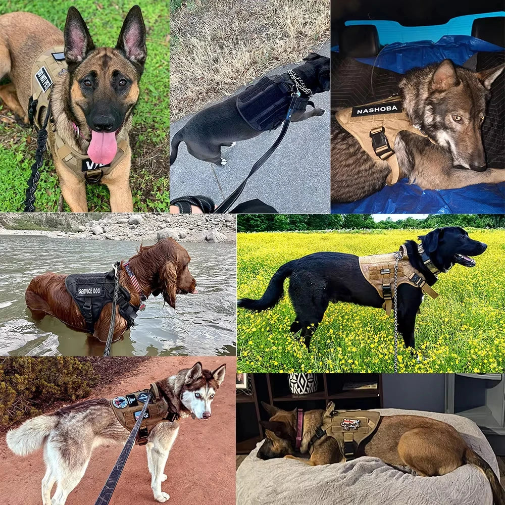 PetraVel Elite Padded Tactical Dog Harness Quick Release For Large K9 Training
