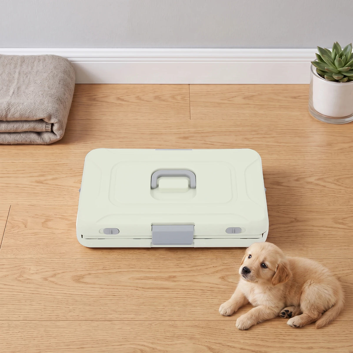 Sturdy Foldable Pet Carrier With Clear View For Small Pets
