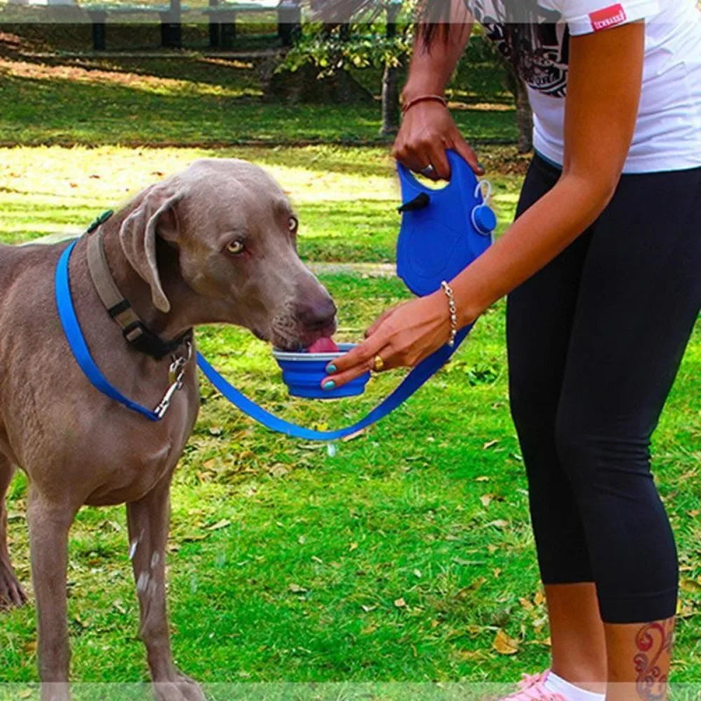 Best 3 In 1 Retractable Dog Leash With Water Bottle Collapsible Bowl Small Dogs
