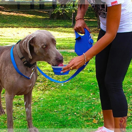 Best 3 In 1 Retractable Dog Leash With Water Bottle Collapsible Bowl Small Dogs